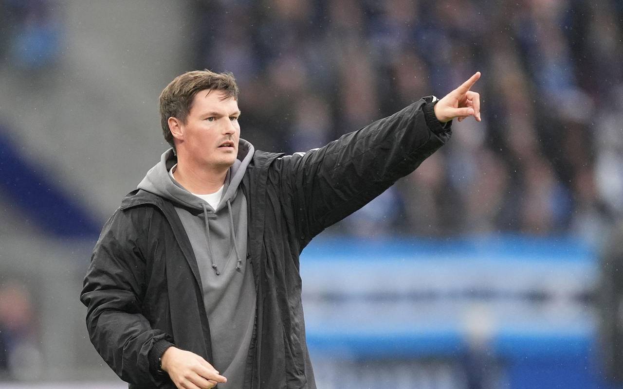 Hamburger SV - FSV Mainz 05