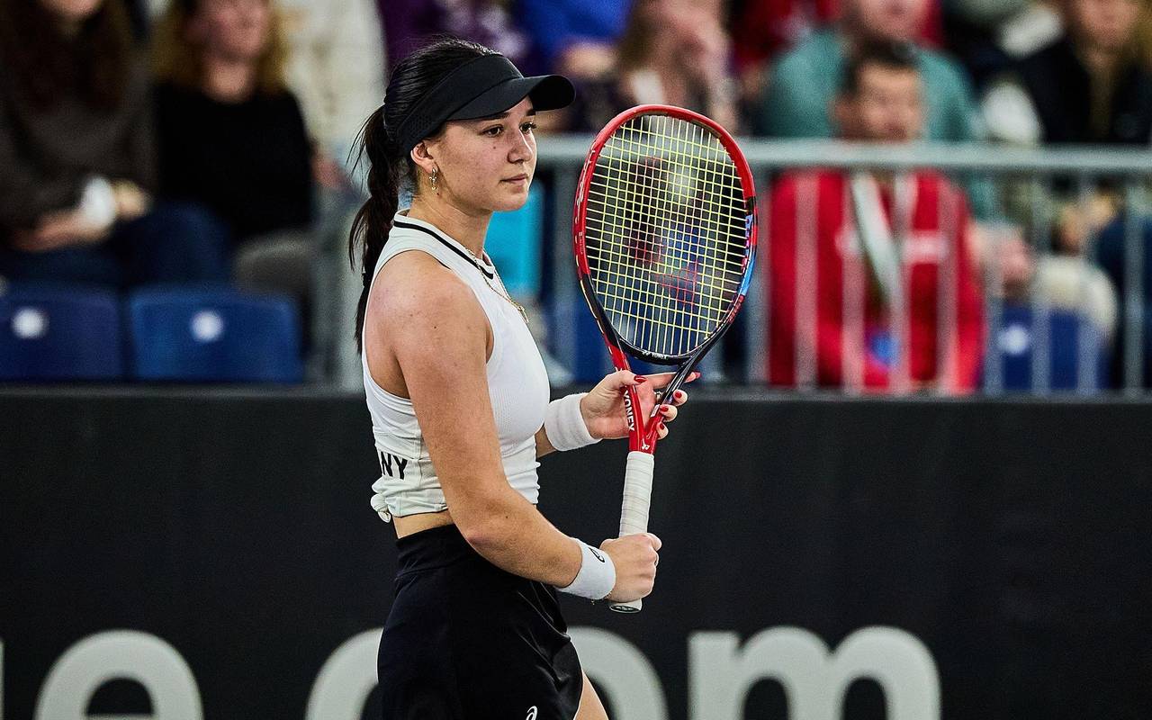 Billie Jean King Cup: Deutschland - Türkei