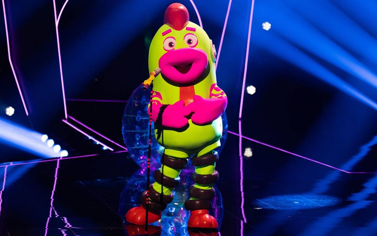 „The Masked Singer“