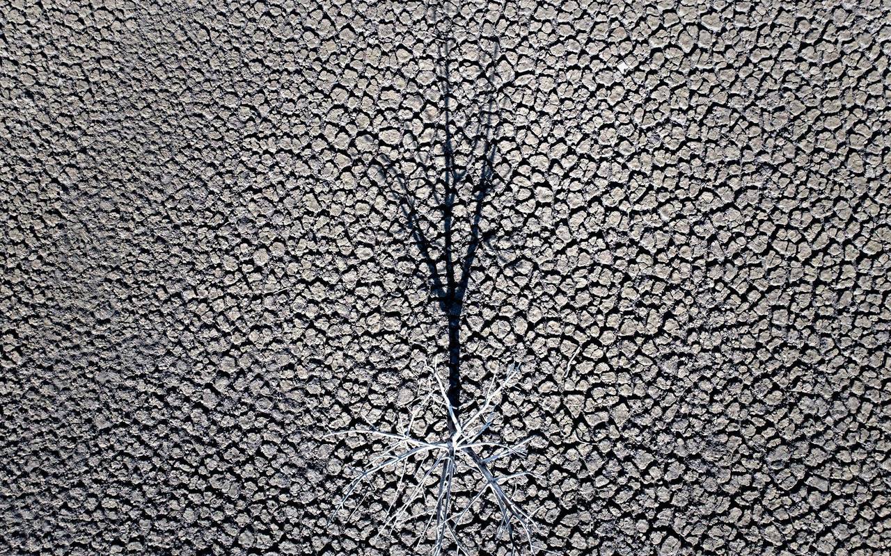 EU setzt sich neues Ziel für den Klimaschutz