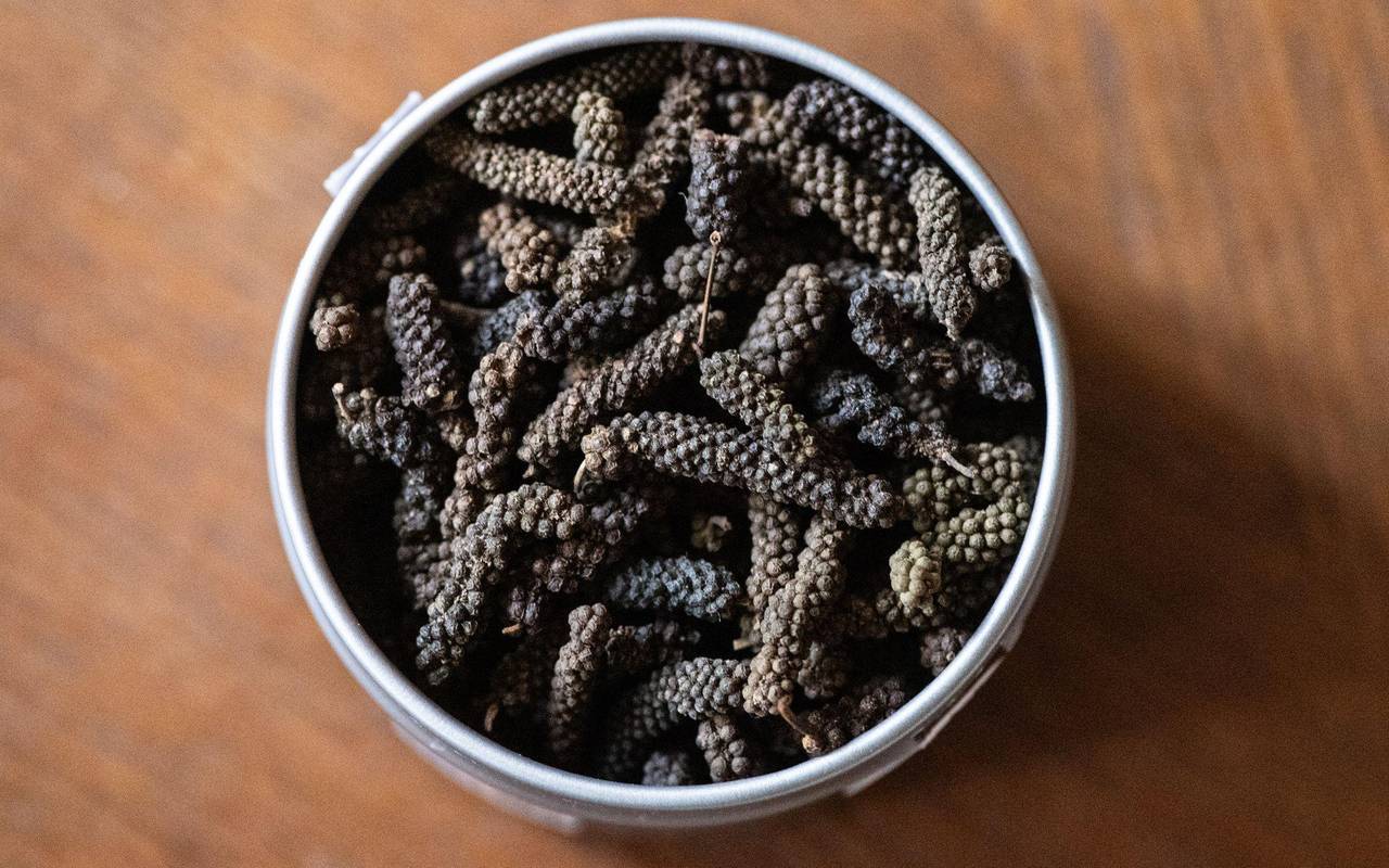 Schokoladenpfeffer ist in einer Dose zu sehen