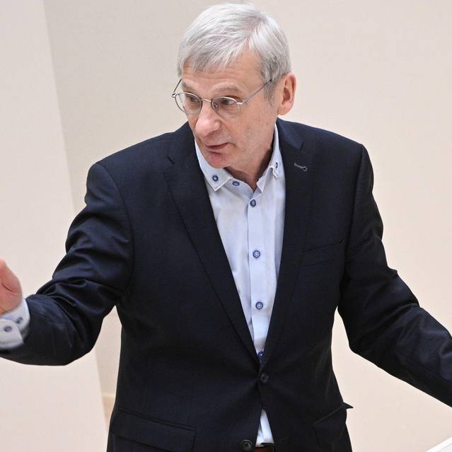 AfD-Fraktionschef Berndt