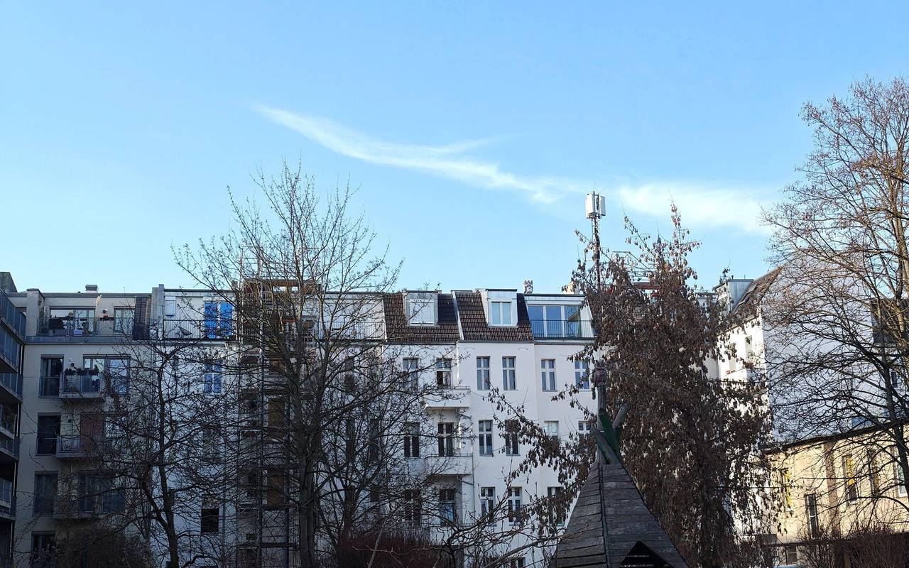 Fotoaufnahme mit dem Motorola Signature