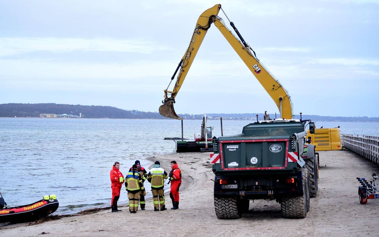 Wal an der Ostseeküste gestrandet
