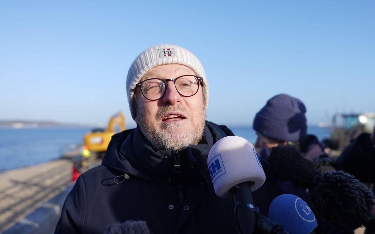 Wal an der Ostseeküste wieder frei