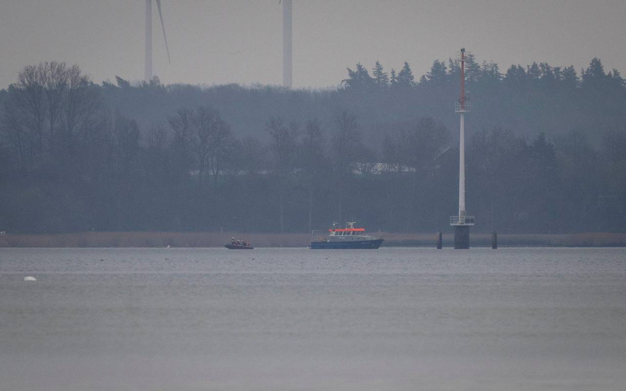 Suche nach Wal geht weiter