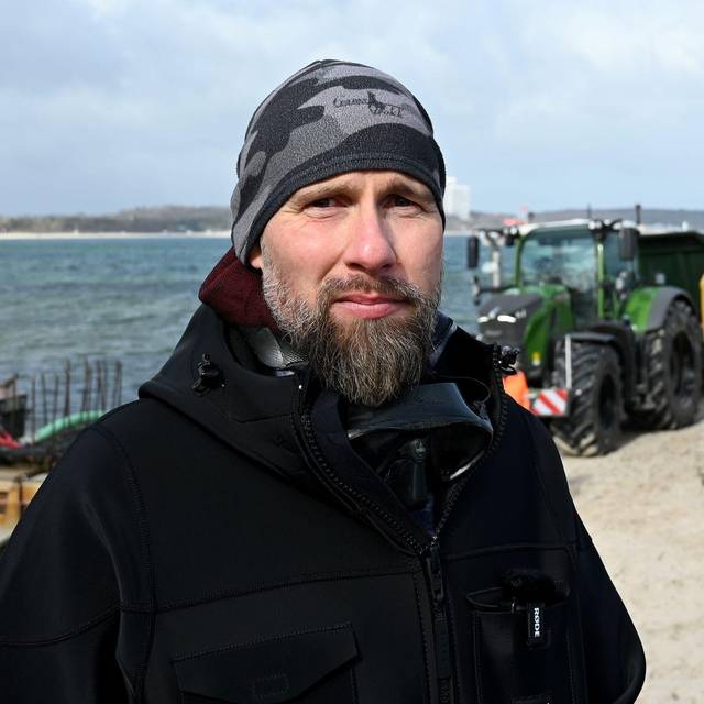 Wal an der Ostseeküste gestrandet