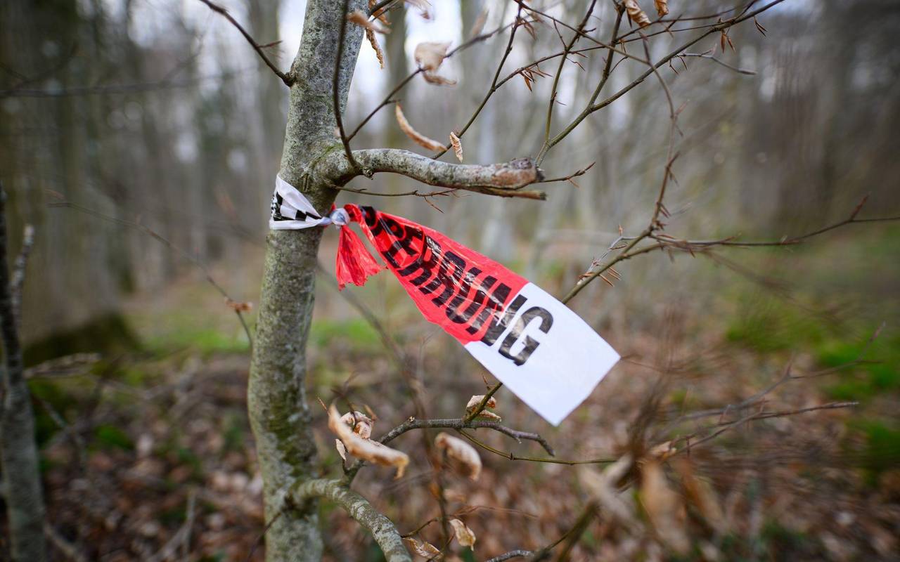 Baum umgestürzt - Drei Tote bei Flensburg