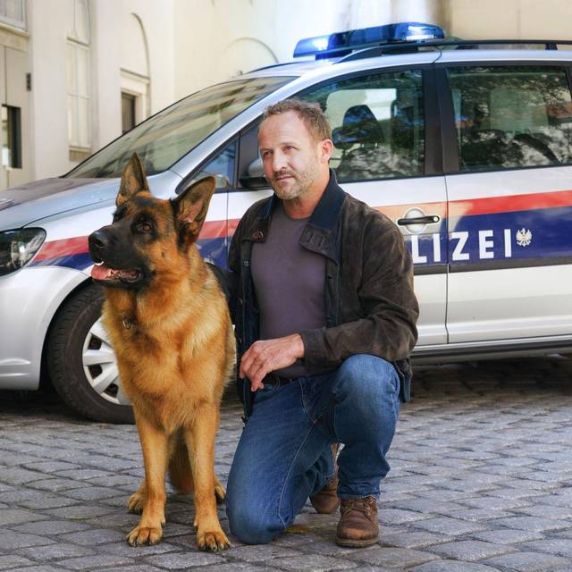 TV-Ausblick Sat.1 - «Kommissar Rex»