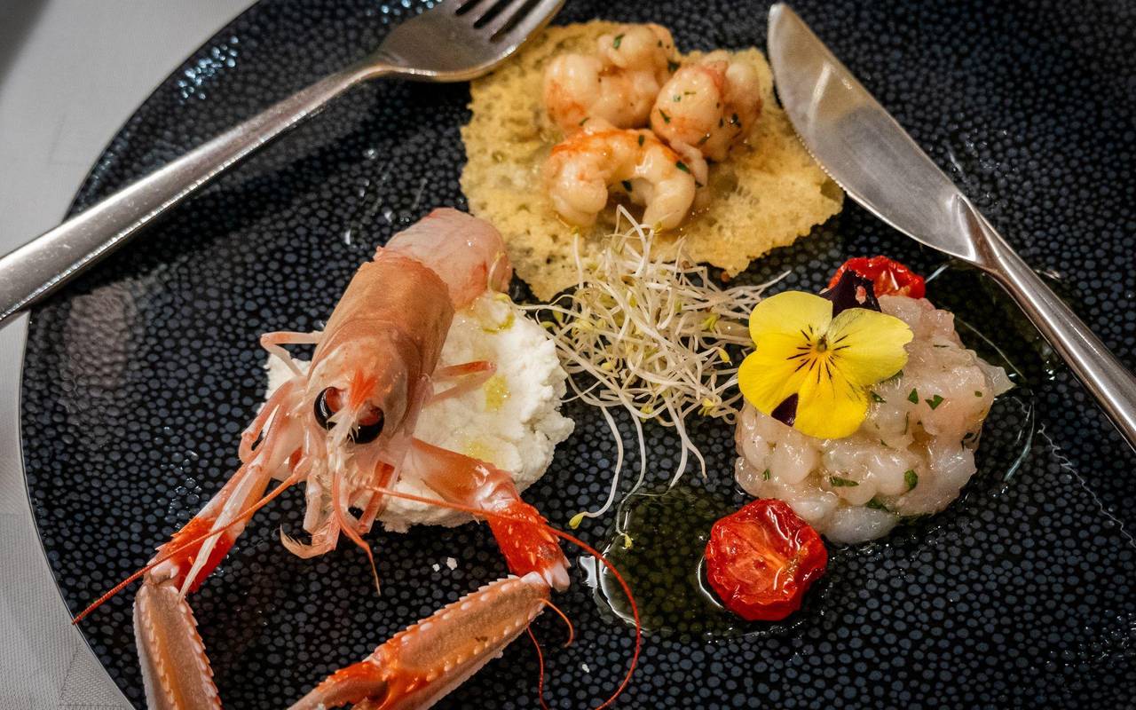 Scampi-Trilogie von David Žilić