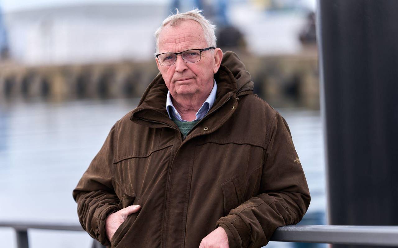 Buckelwal liegt in Wismarer Bucht