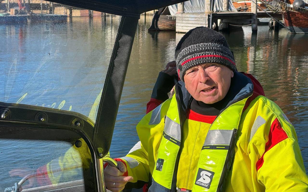 Weitere Entwicklung zum Buckelwal in der Ostsee