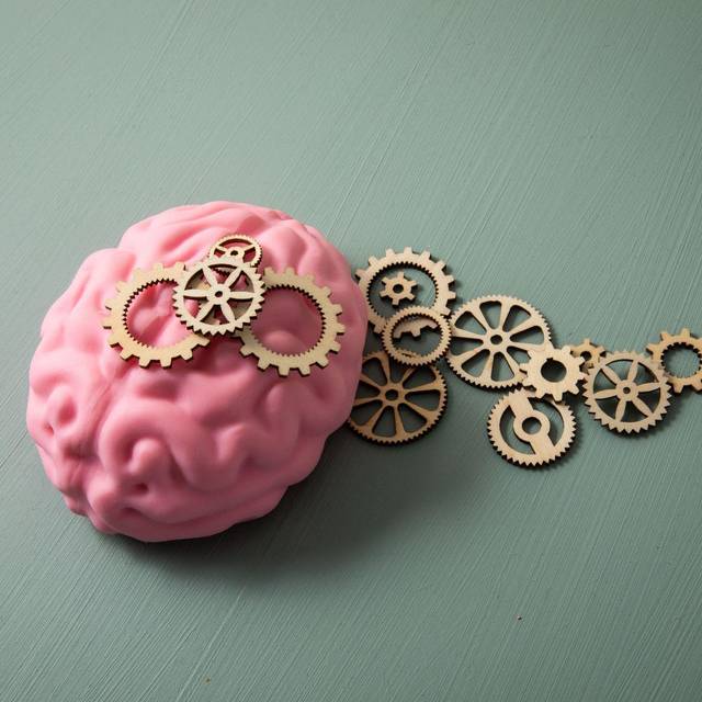 Das Modell eines Gehirns liegt neben zahlreichen Zahnrädern