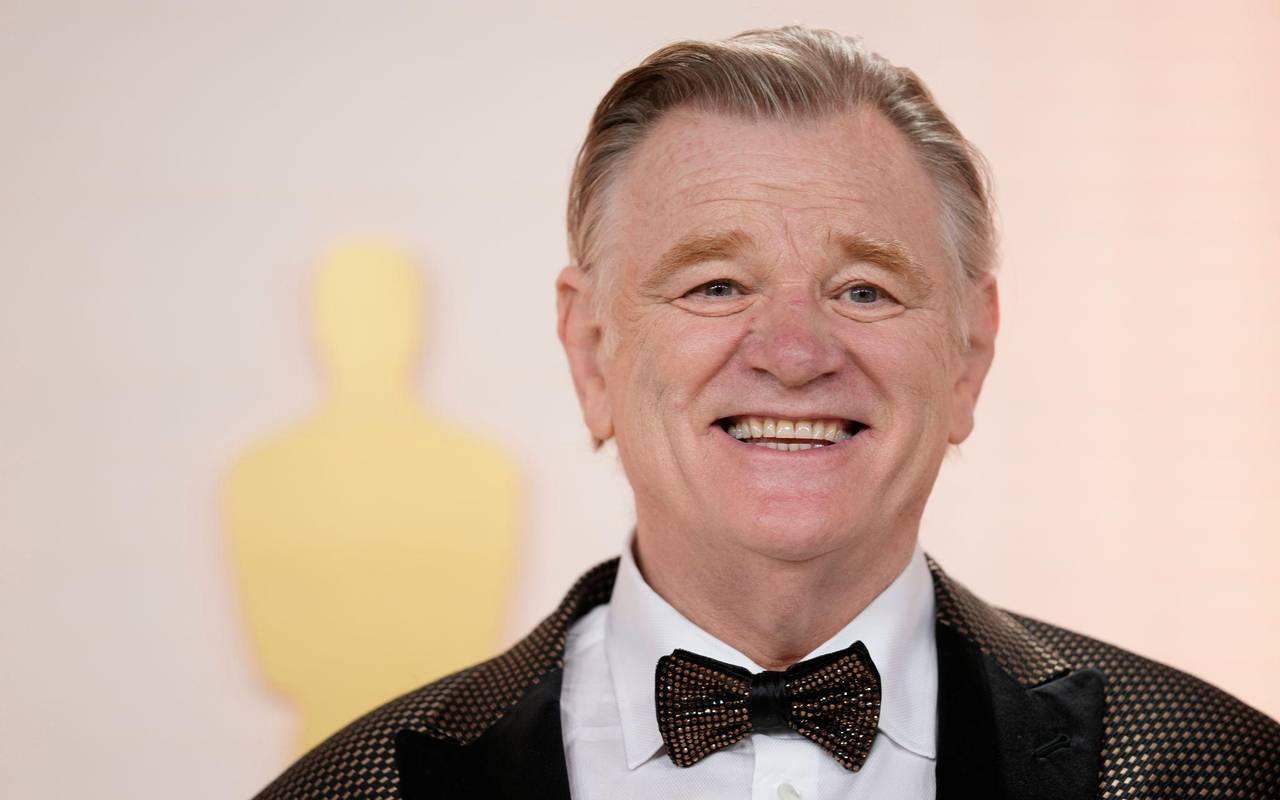 Schauspieler Brendan Gleeson
