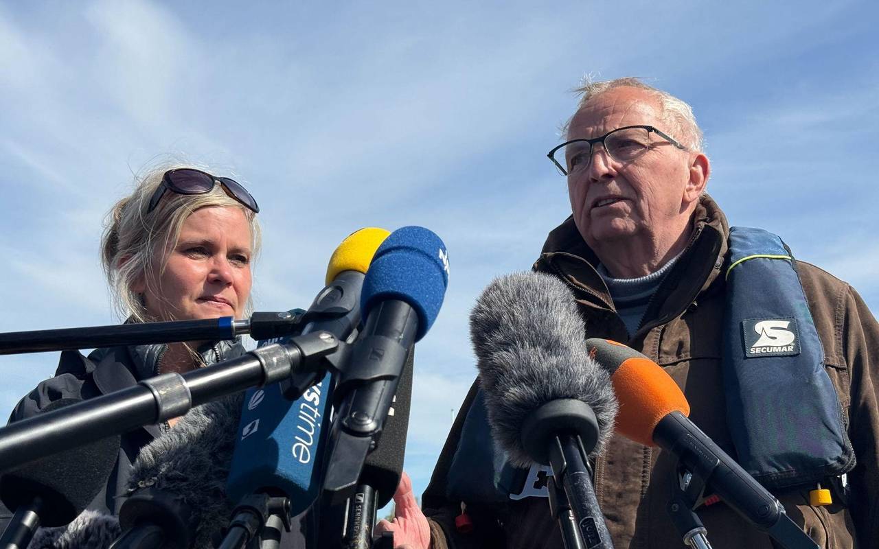 Weitere Entwicklung zum Buckelwal in der Ostsee