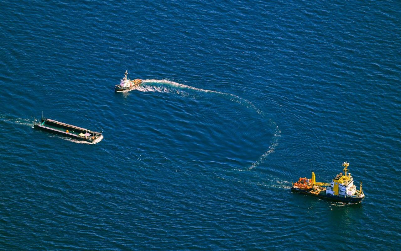 Weitere Entwicklung zum Buckelwal auf dem Weg aus der Ostsee