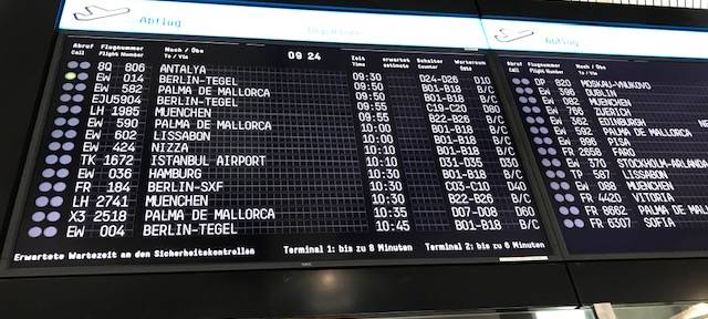 Zoll stellt Schmugglerin von kleinen Hunden am Flughafen