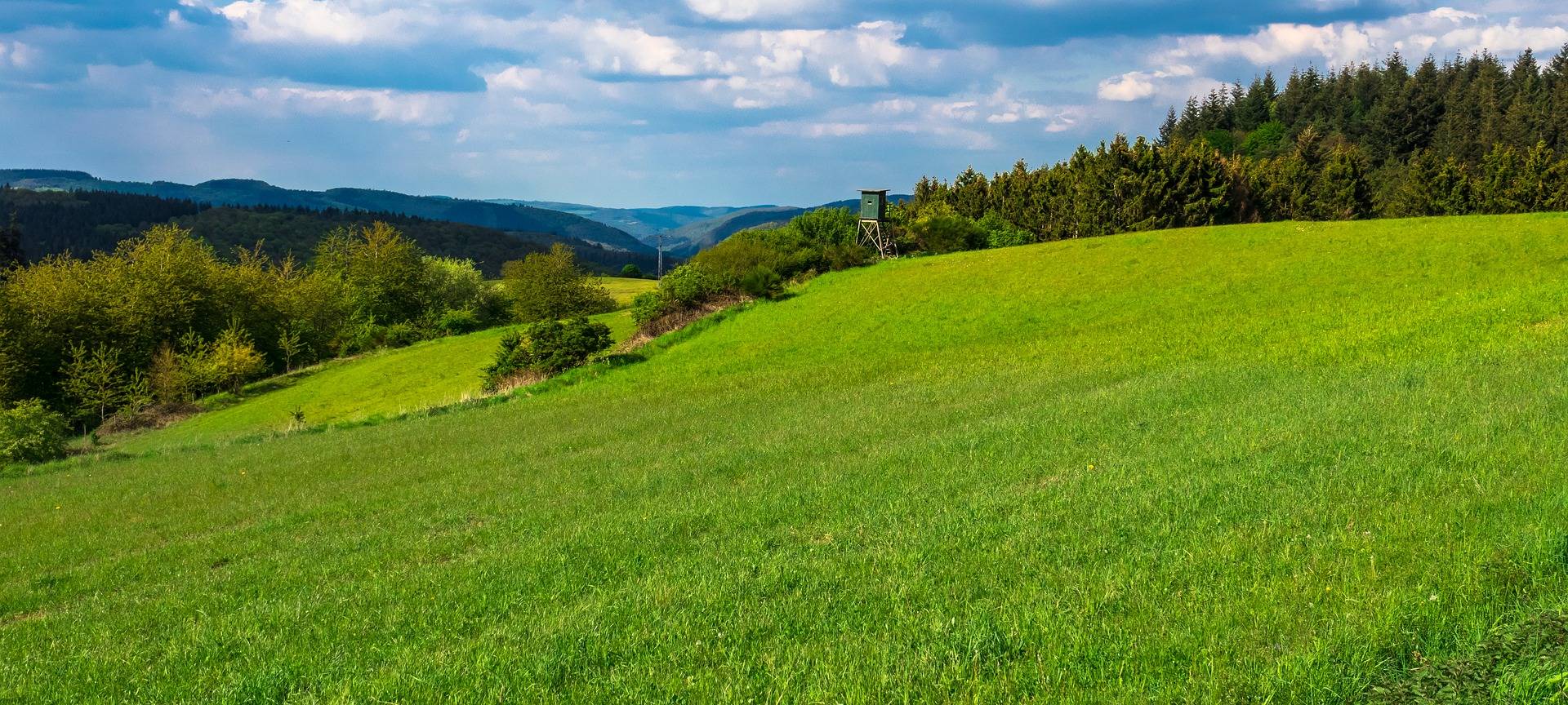 Ausflugsziel Eifel-Nationalpark