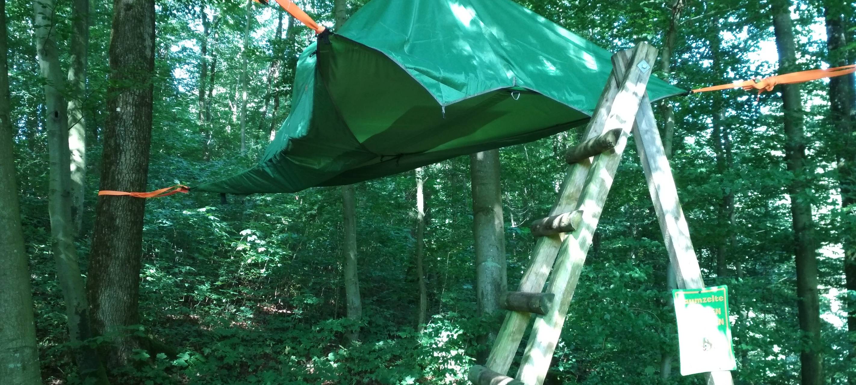 Schlafen im Wald in luftiger Höhe