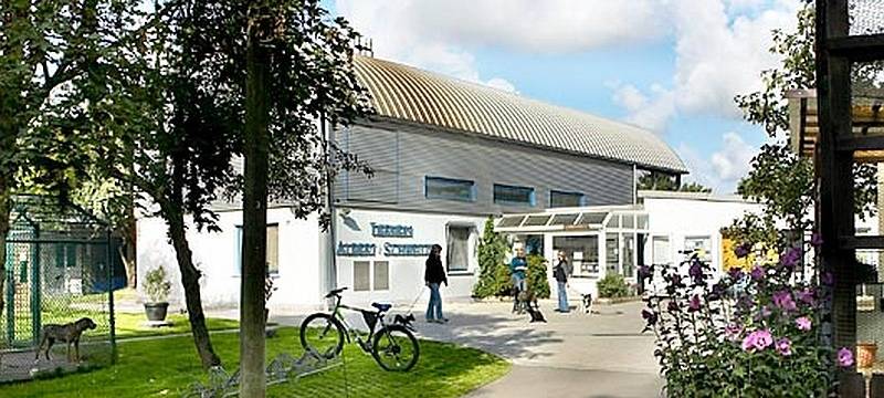 Tierheime in Bonn und Troisdorf haben viel zu tun