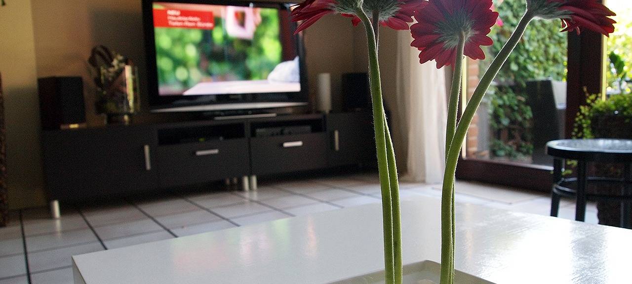 Bis 2040: Bonn braucht rund 11.000 neue Wohnungen