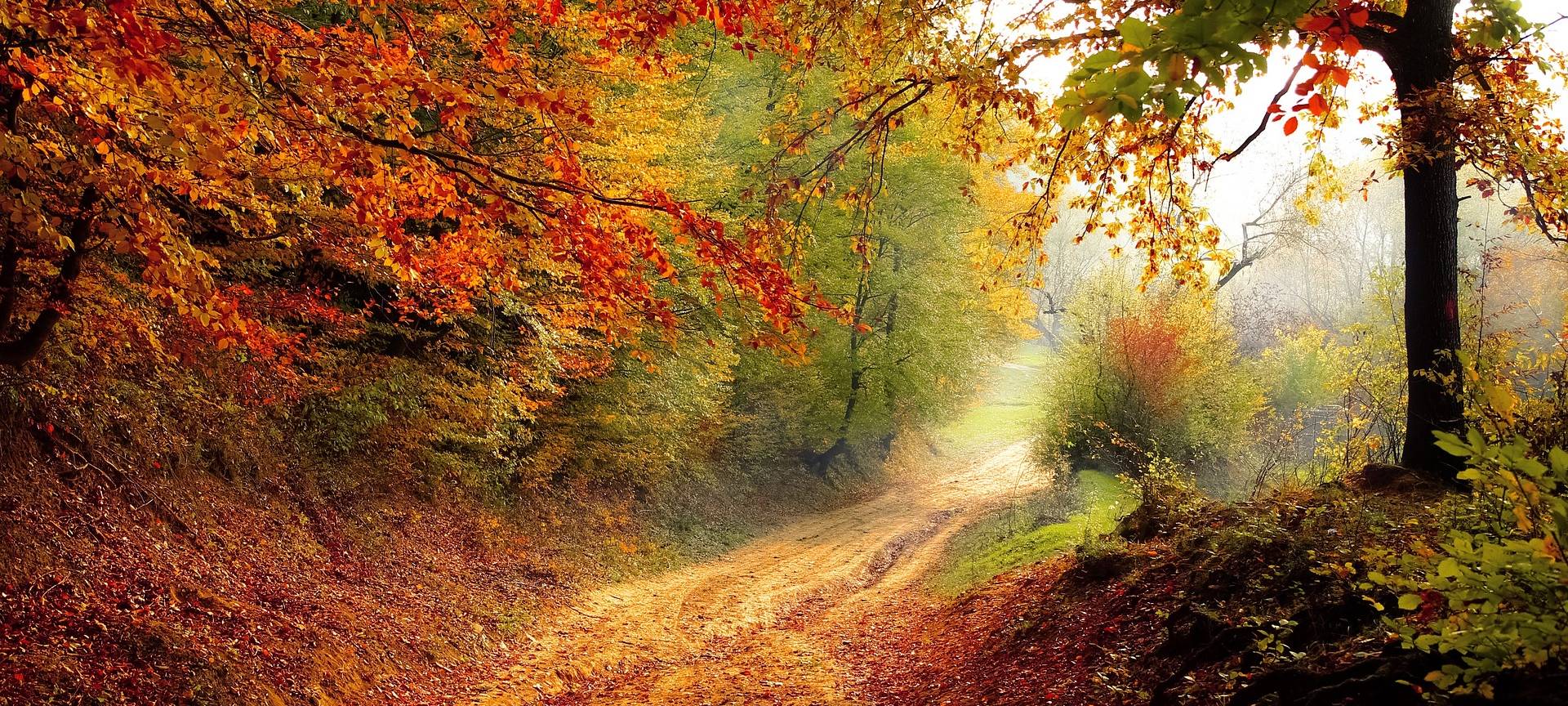 Herbstferien-Tipps