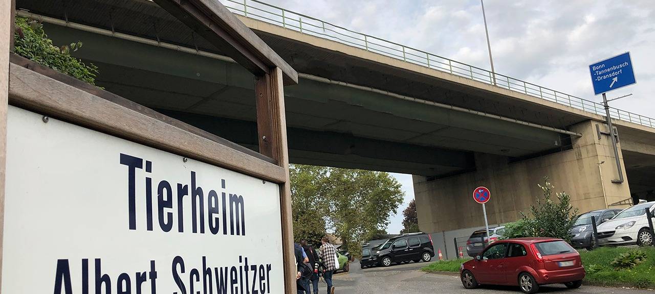 Spendensammlung fürs Tierheim