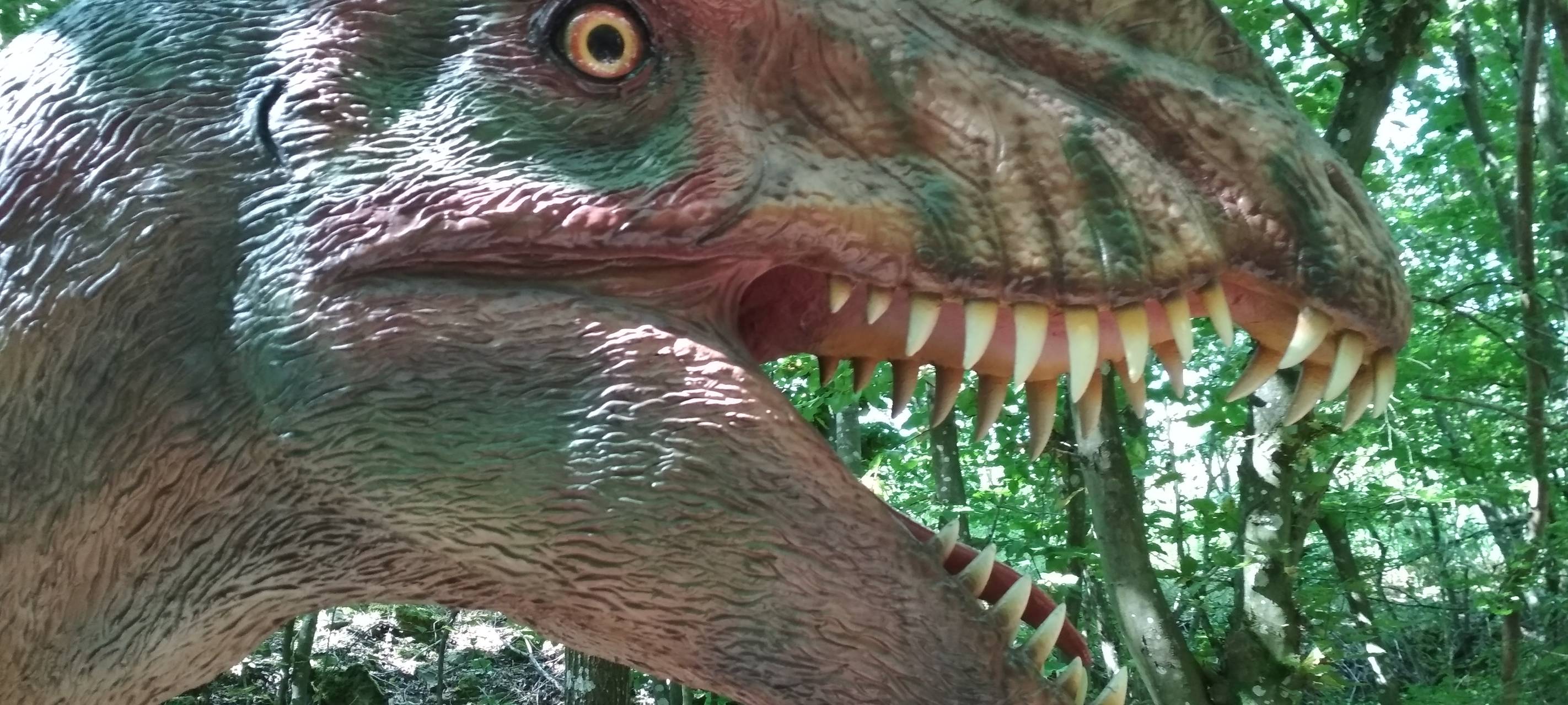 Die Dinos erleben