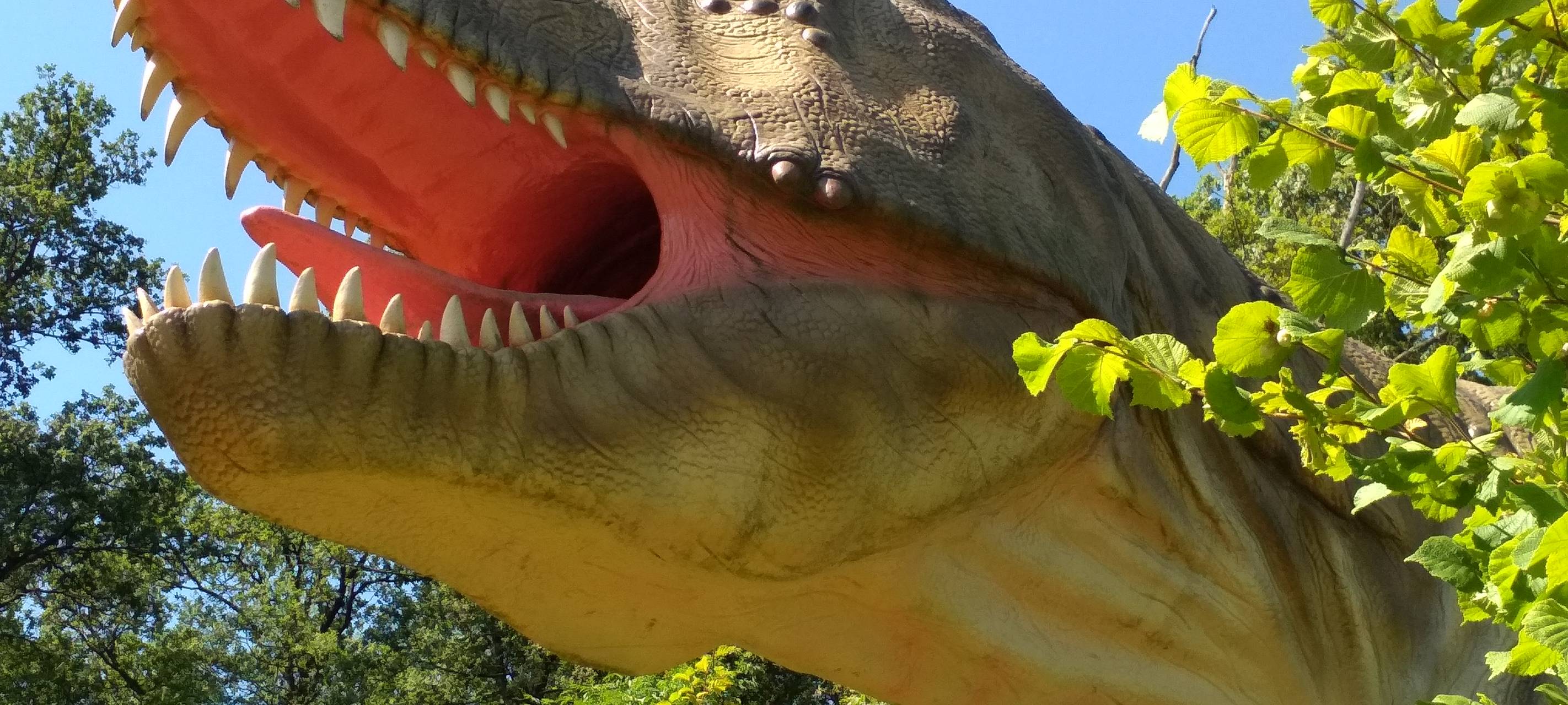 Die Dinos erleben