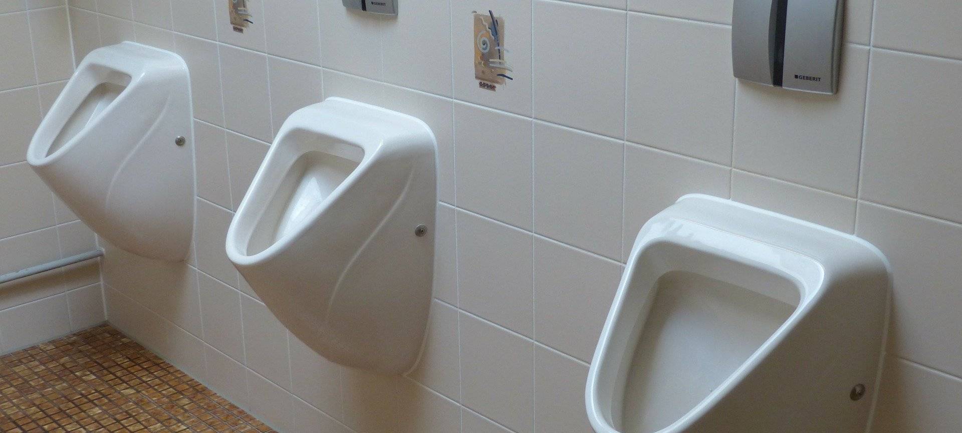 Bornheim will "Nette Toilette"