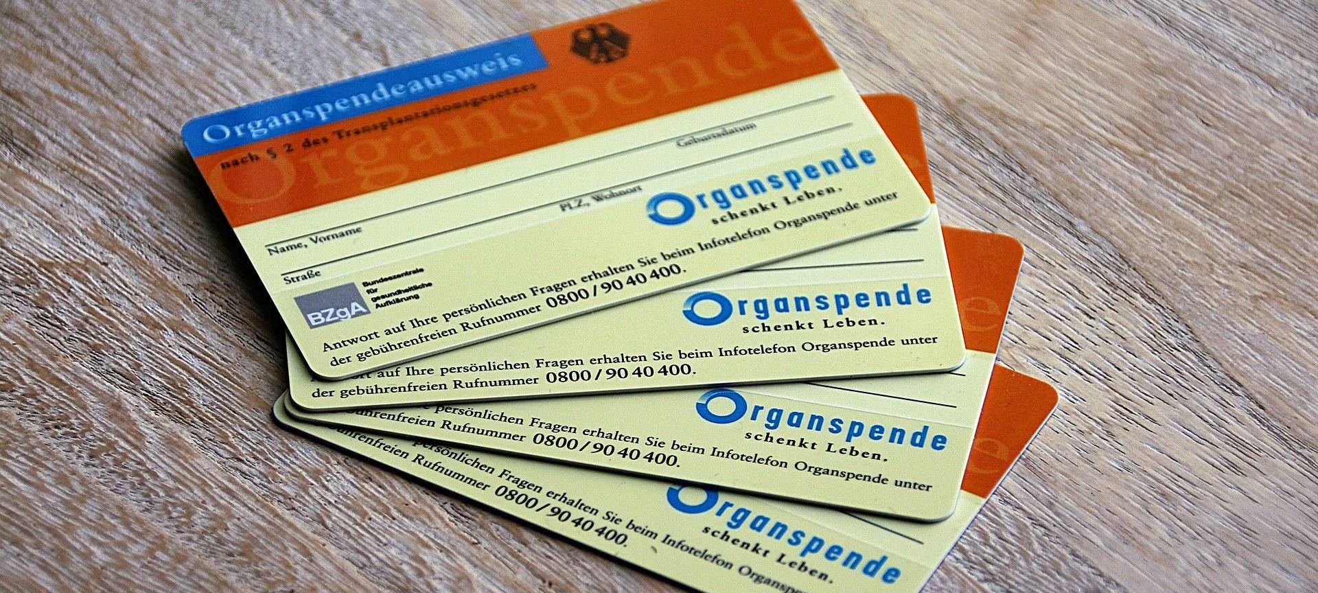 Politiker aus dem RBRS-Land über Organspende