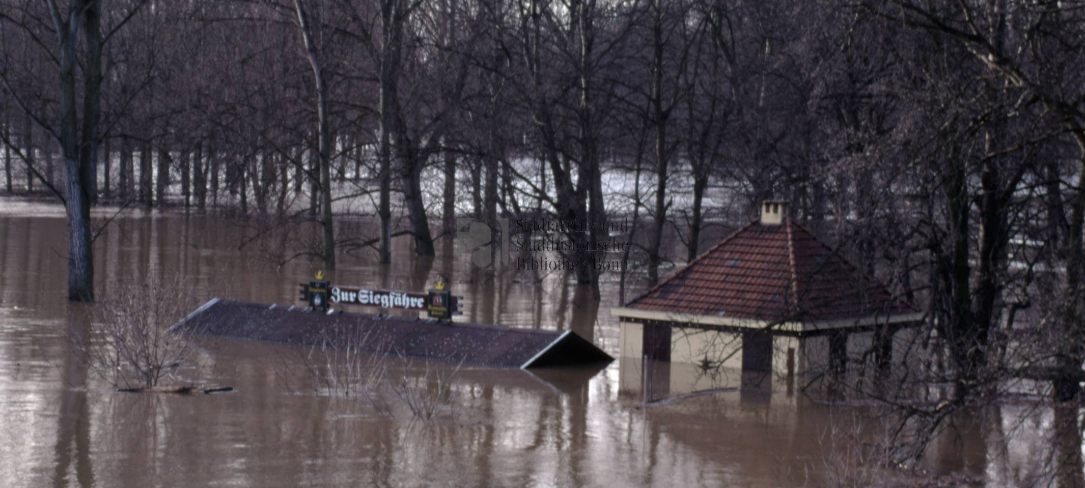 Als Bonn unter Wasser lag