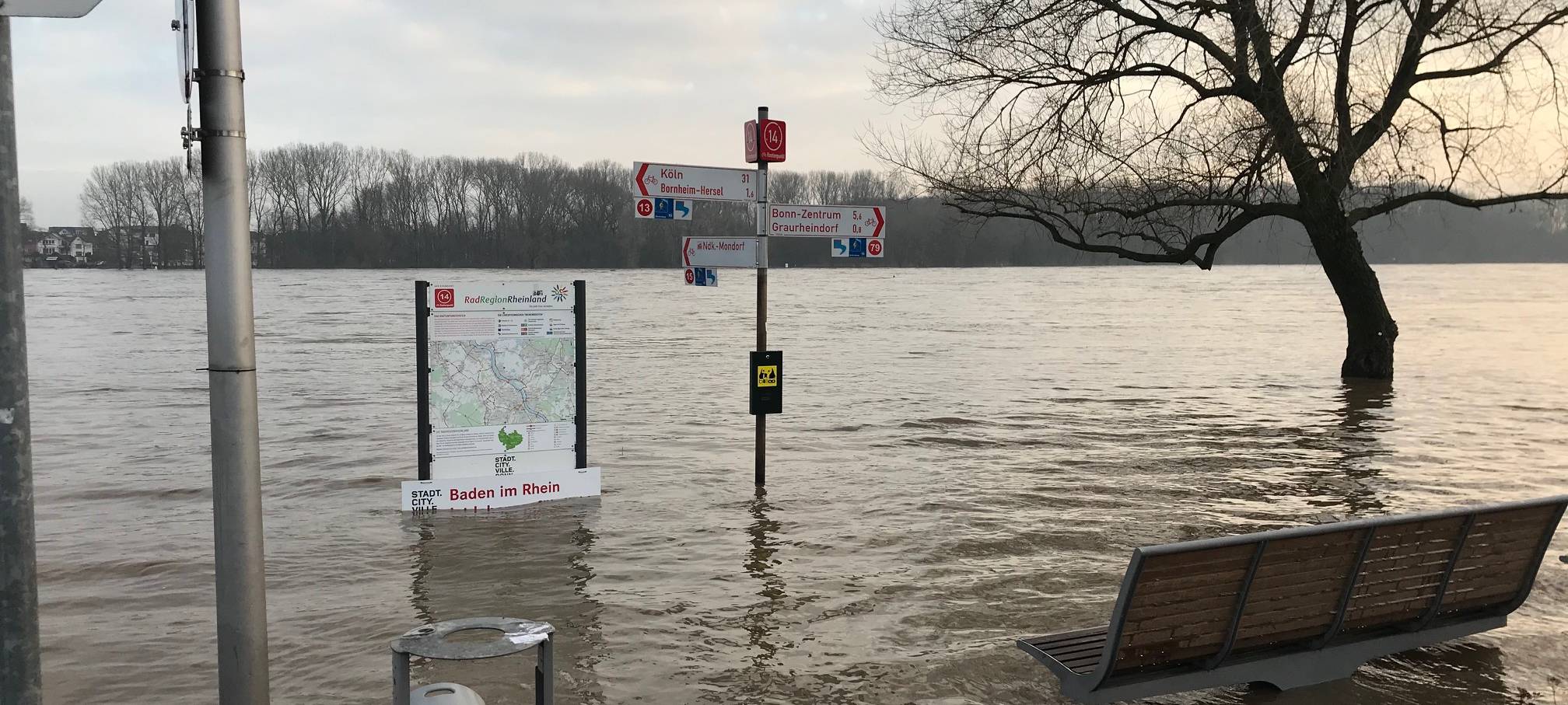 Rheinpegel vor der Scheitelwelle - Sperrungen an den Ufern