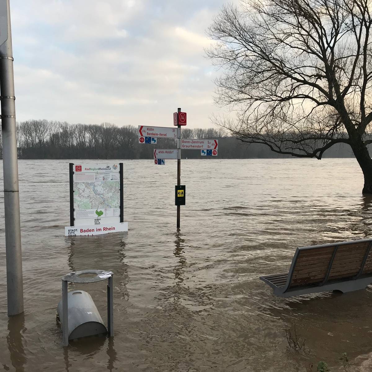 Rheinpegel vor der Scheitelwelle - Sperrungen an den Ufern ...