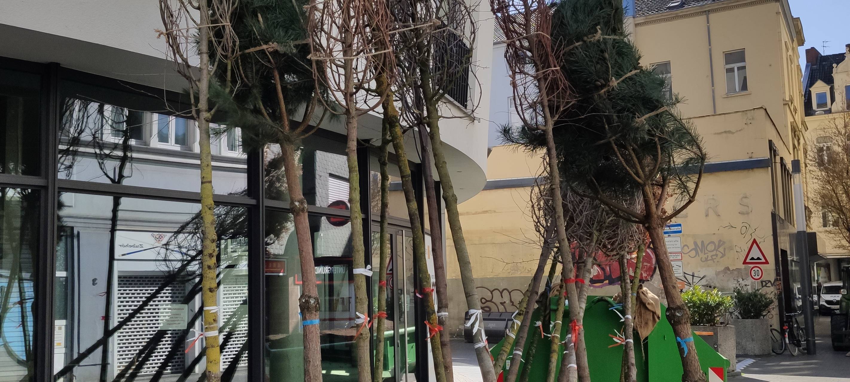 Garten in der Bonngasse