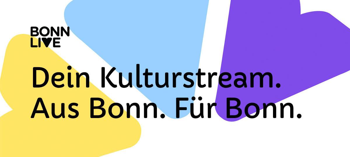 Rhein in Flammen 2020 - im Stream!