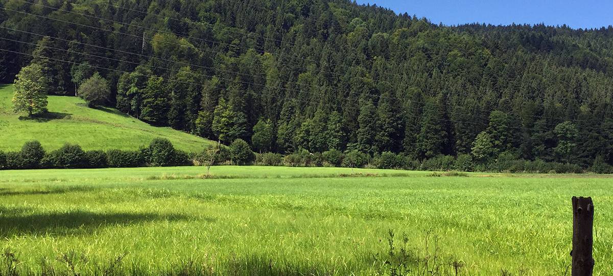 13-Jährige aus Dormagen wieder da