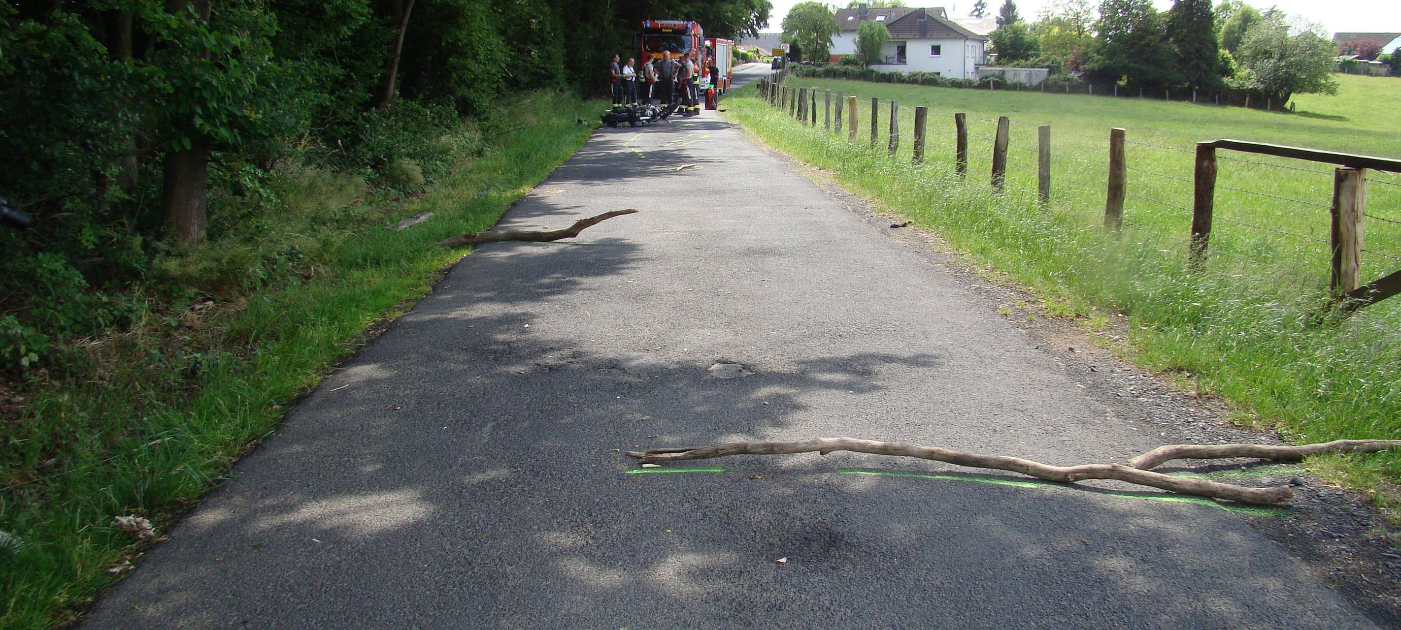Motorradfahrer stürzt wegen Ästen auf der Fahrbahn
