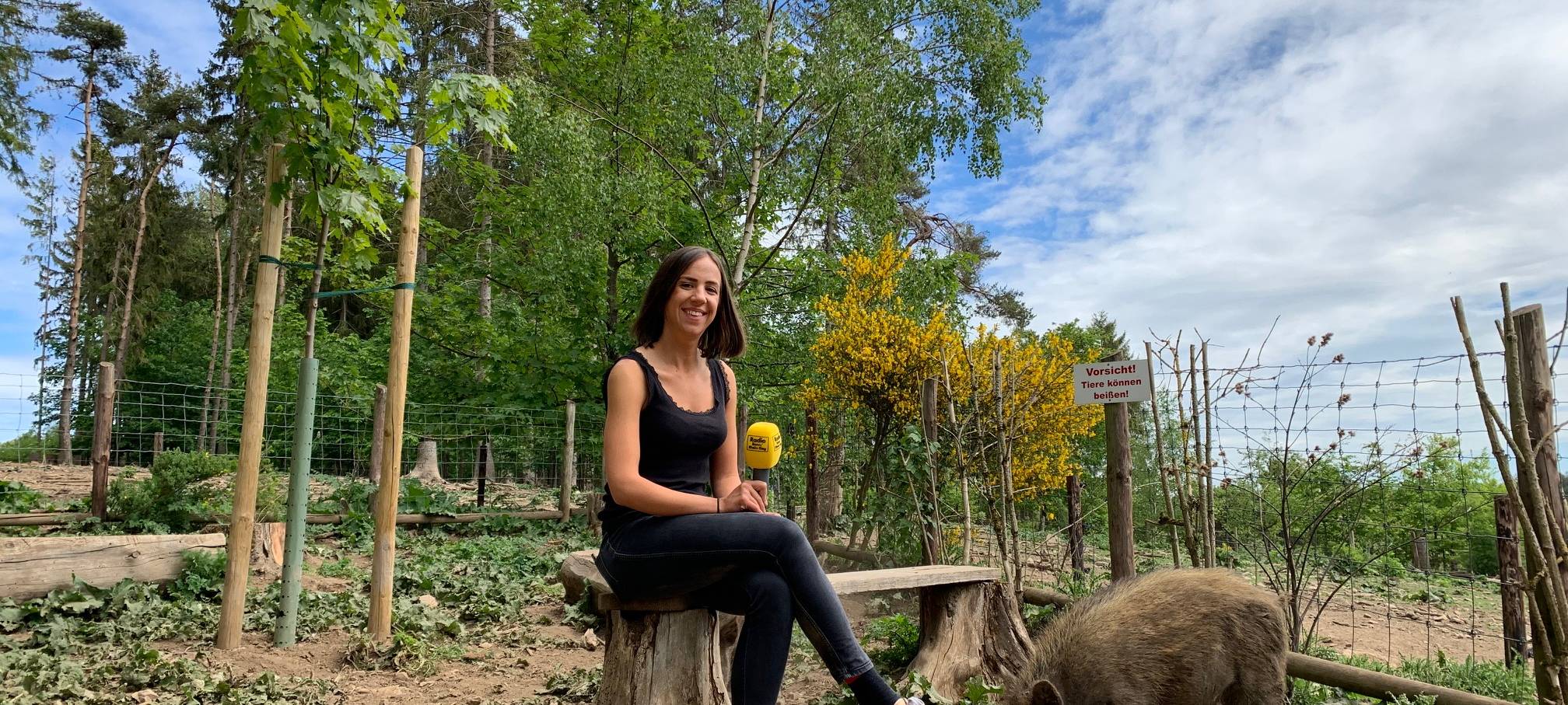 Wildfreigehege Hellenthal