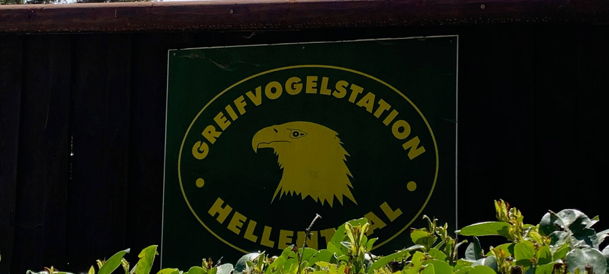 Wildfreigehege Hellenthal