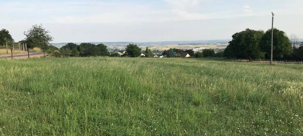 Radtour: Rheinische Apfelroute