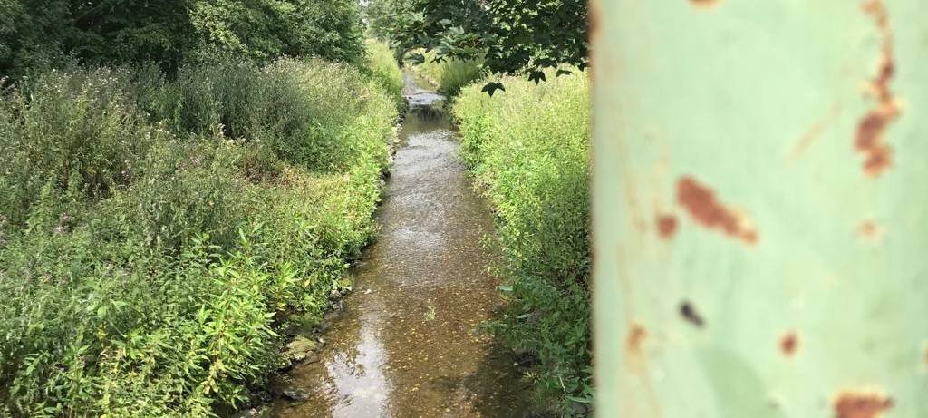 Radtour: Rheinische Apfelroute