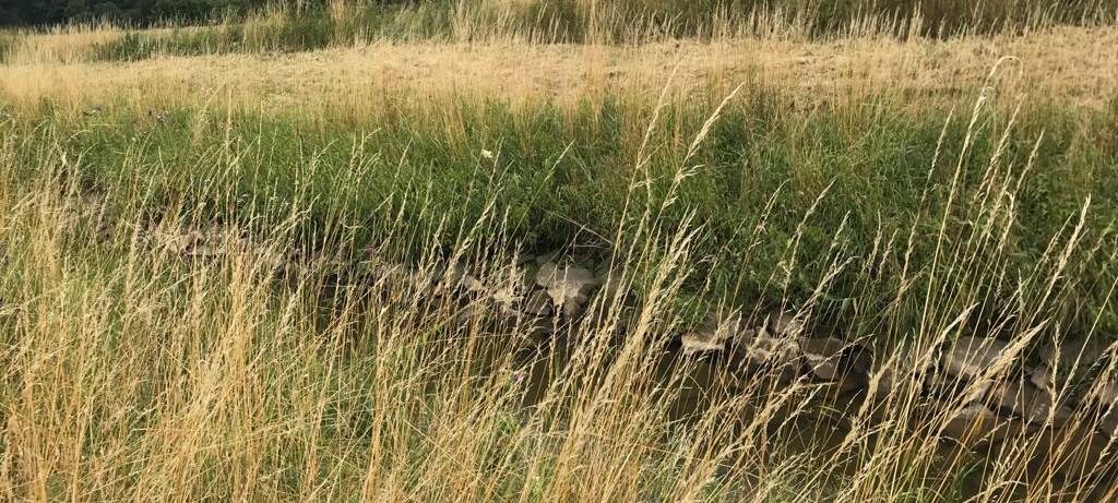 Radtour: Rheinische Apfelroute