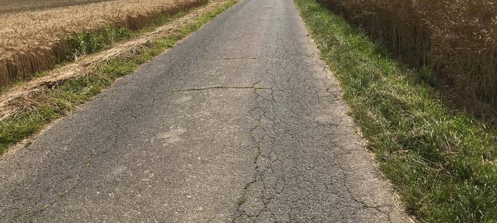 Radtour: Rheinische Apfelroute