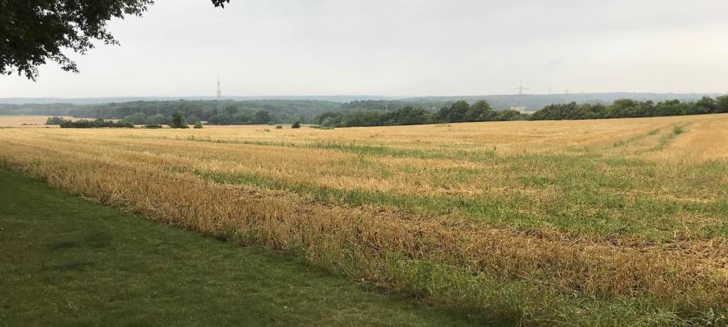 Radtour: Rheinische Apfelroute
