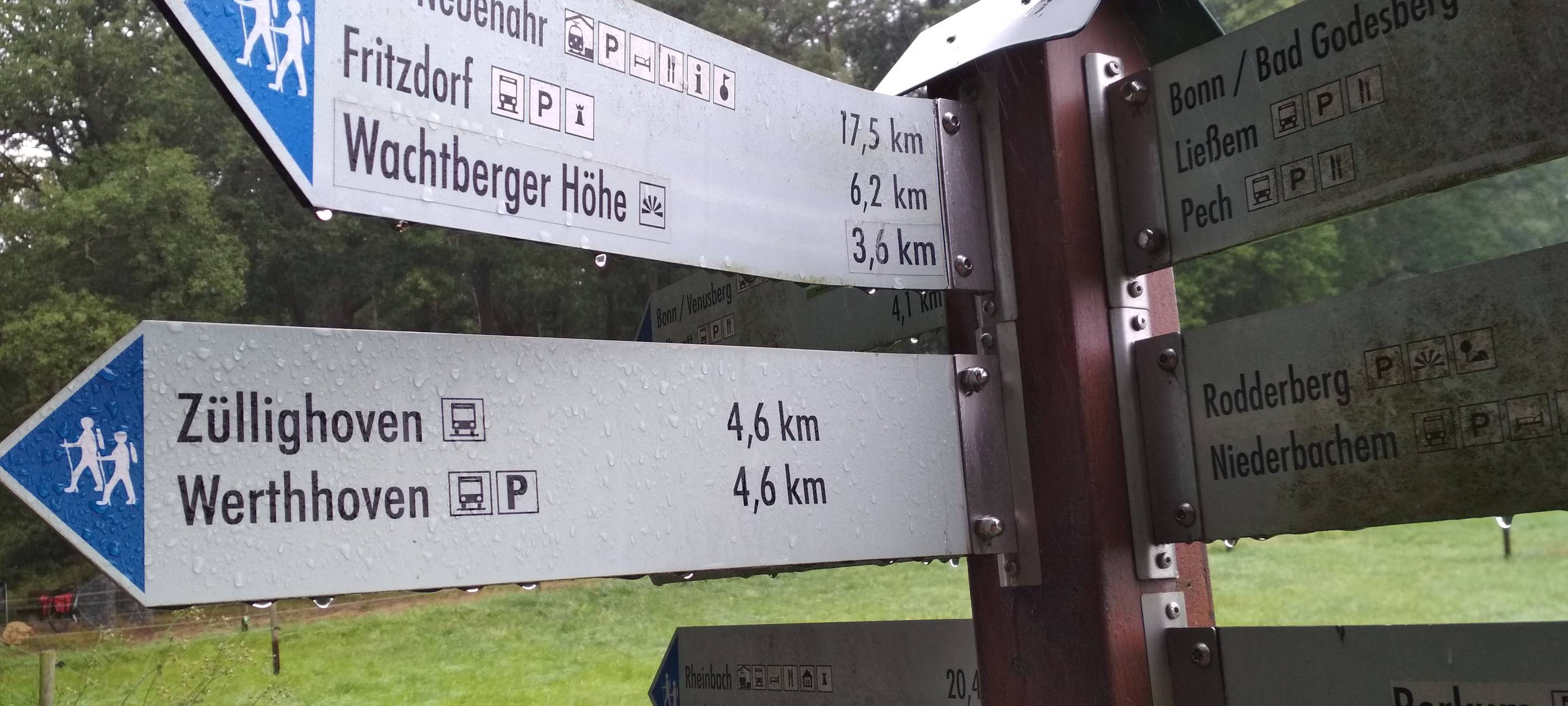 Radtour: Rheinische Apfelroute