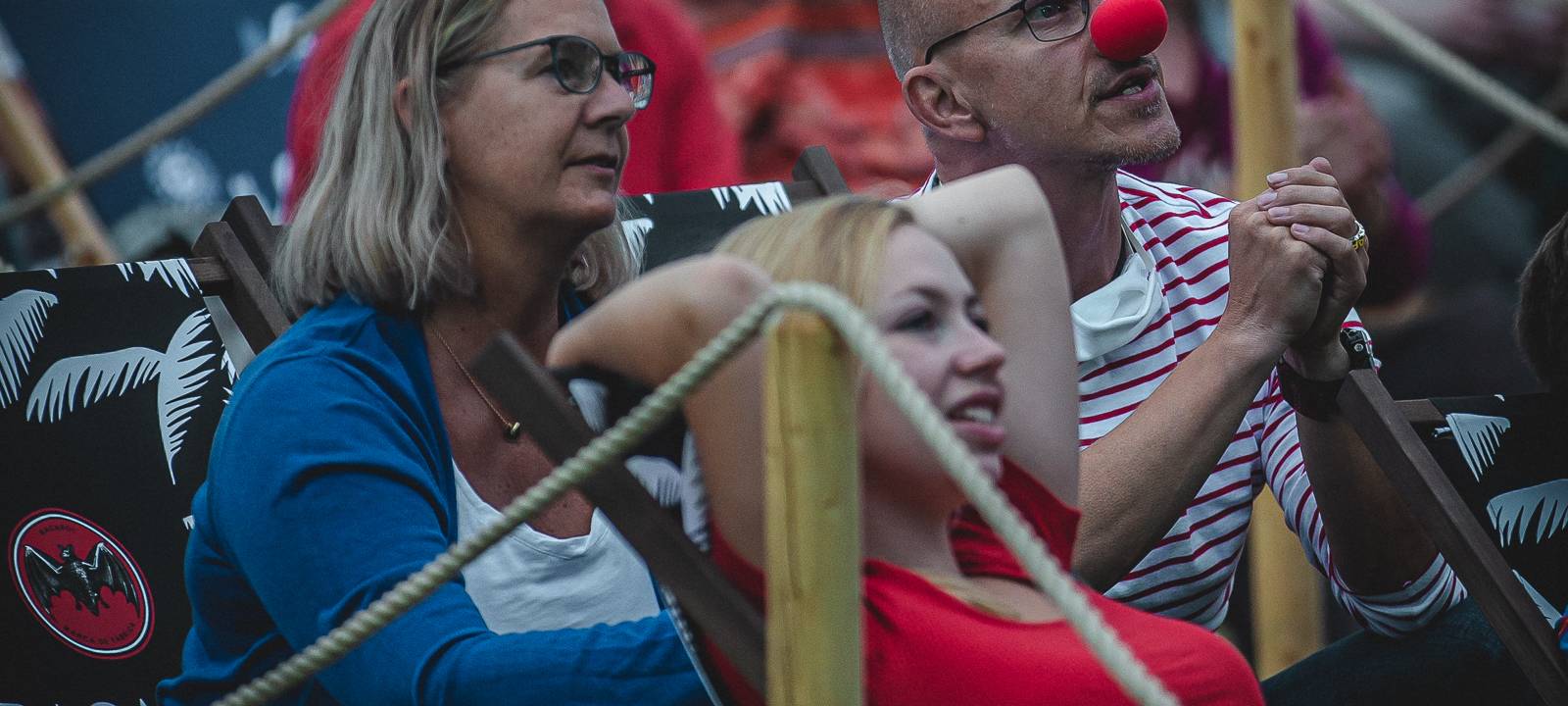 Die Höhner live in der Rheinaue