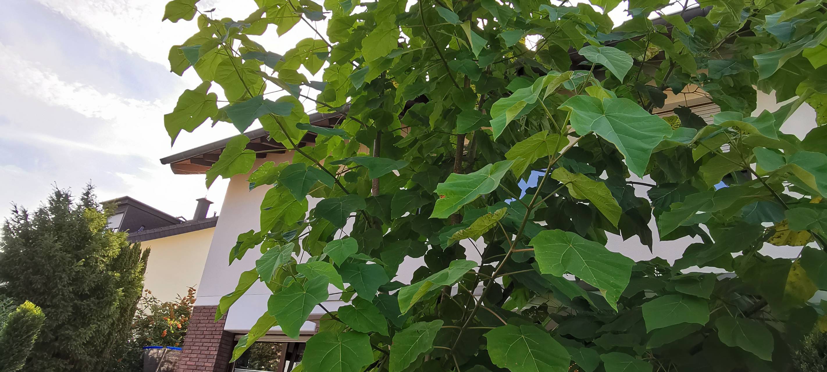 Bauen mit dem Turbo-Baum