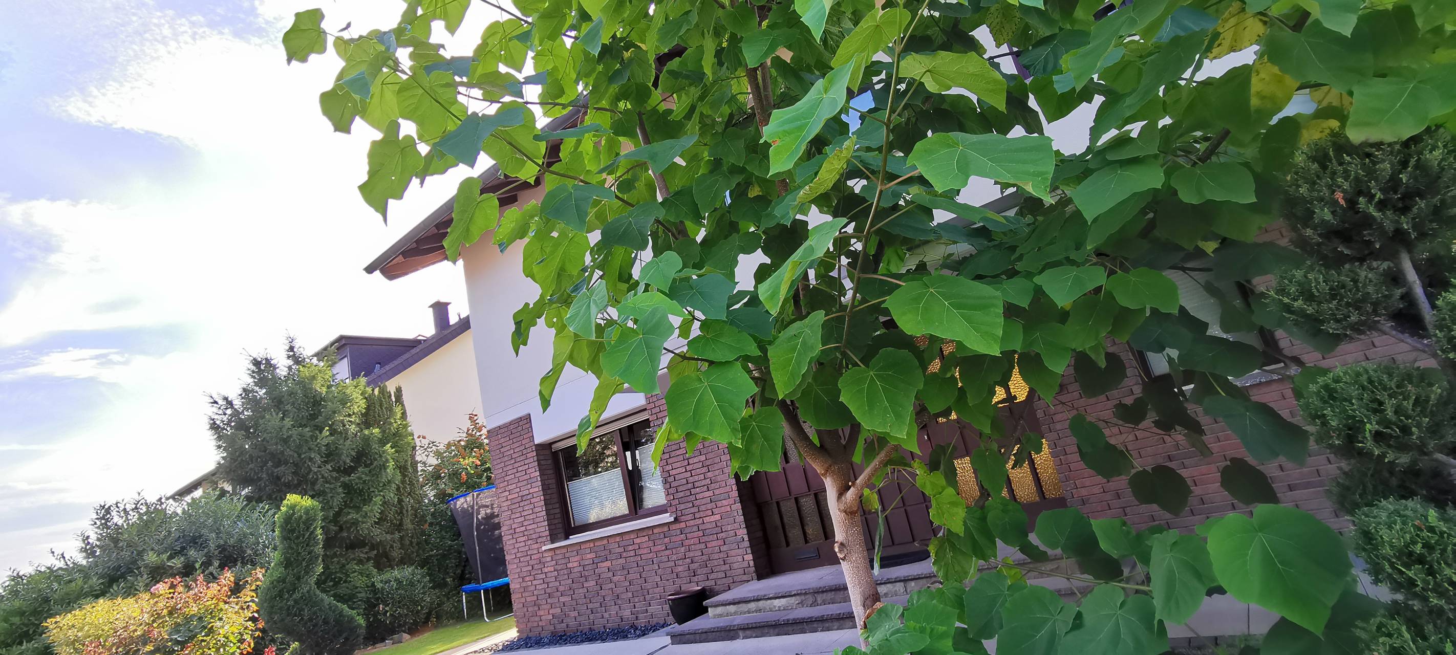 Bauen mit dem Turbo-Baum