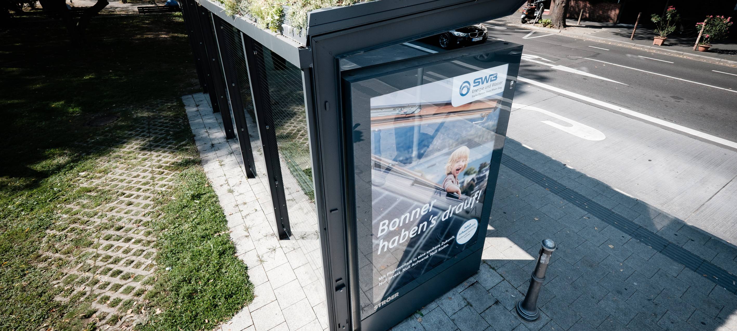 Erste begrünte Haltestelle in Bonn